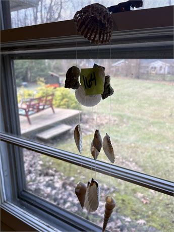 Seashell Decor