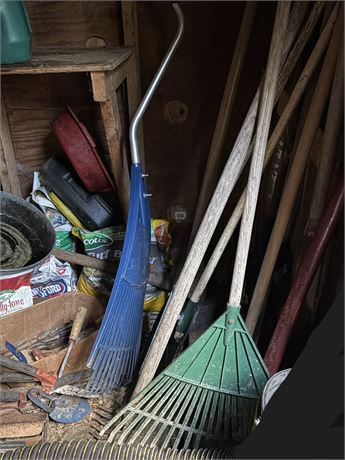 Rakes