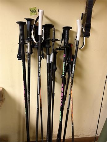 Ski Poles