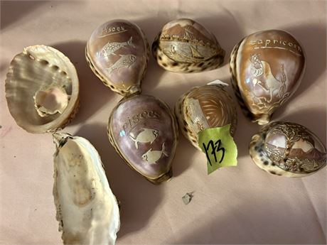 Decorative Zodiac Shells