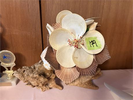 Shell Decor