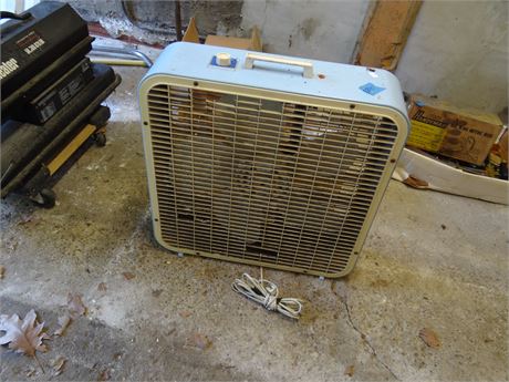 Fan