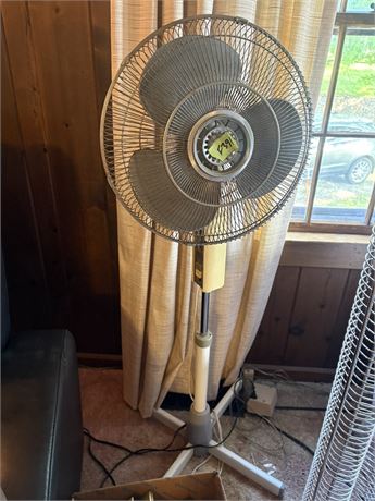 Fan