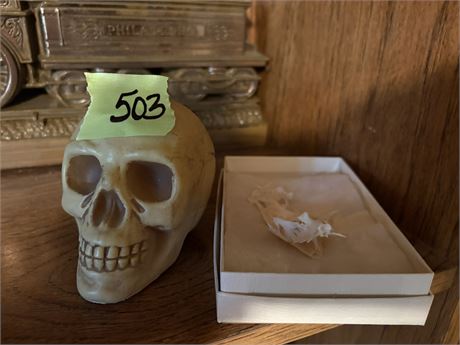 Skeleton