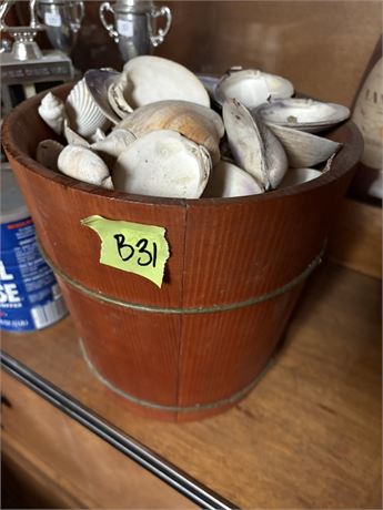 Bucket of Shells
