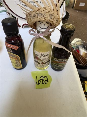 Mini Liquor Bottles