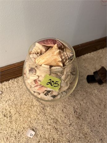 Shells