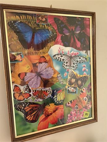 Butterfly Wall Art