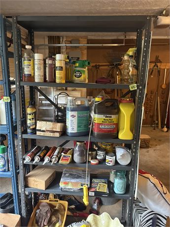 Shelf and Contents