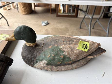 Duck