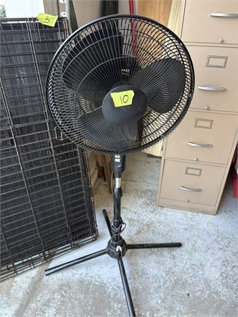Fan