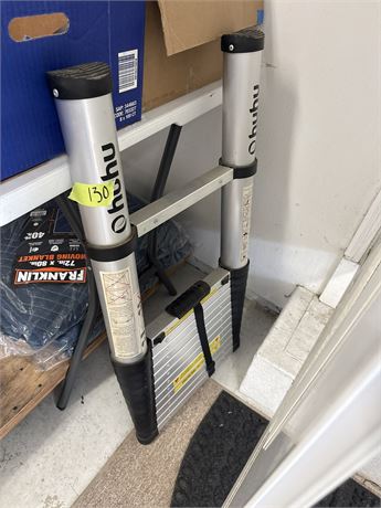 Extension Ladder
